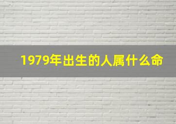 1979年出生的人属什么命