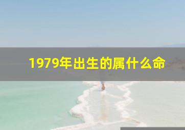 1979年出生的属什么命