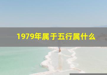 1979年属于五行属什么