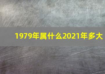 1979年属什么2021年多大