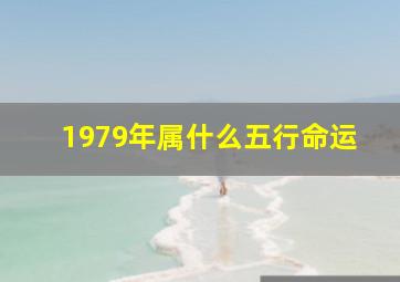 1979年属什么五行命运