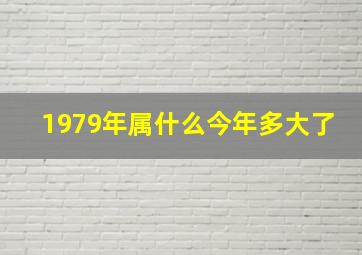 1979年属什么今年多大了