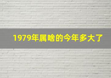 1979年属啥的今年多大了