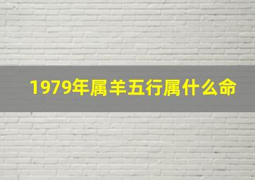 1979年属羊五行属什么命