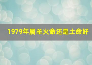 1979年属羊火命还是土命好