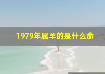 1979年属羊的是什么命