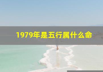 1979年是五行属什么命