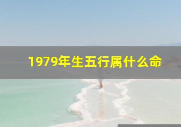 1979年生五行属什么命