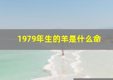 1979年生的羊是什么命