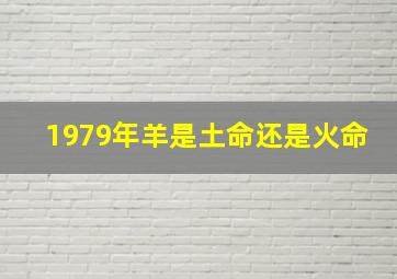 1979年羊是土命还是火命