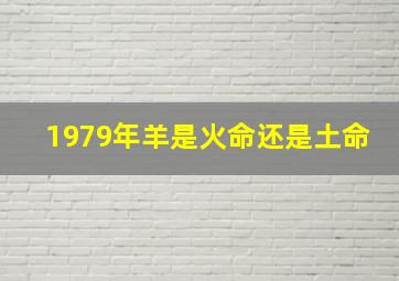 1979年羊是火命还是土命