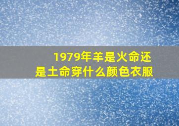 1979年羊是火命还是土命穿什么颜色衣服