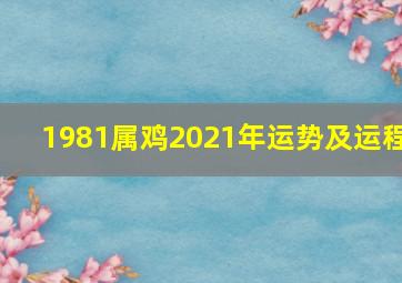 1981属鸡2021年运势及运程