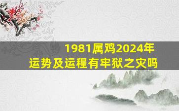 1981属鸡2024年运势及运程有牢狱之灾吗