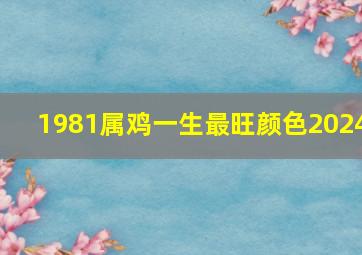 1981属鸡一生最旺颜色2024