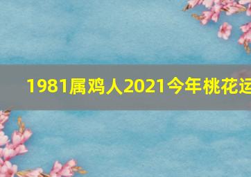 1981属鸡人2021今年桃花运