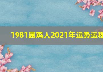 1981属鸡人2021年运势运程