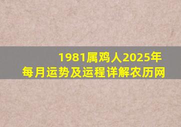 1981属鸡人2025年每月运势及运程详解农历网