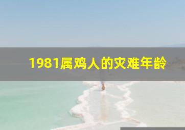 1981属鸡人的灾难年龄