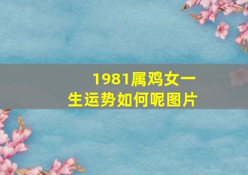 1981属鸡女一生运势如何呢图片