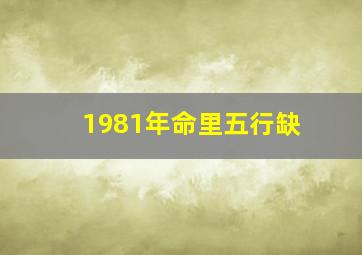 1981年命里五行缺