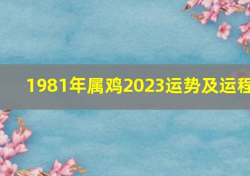 1981年属鸡2023运势及运程