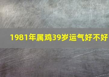 1981年属鸡39岁运气好不好