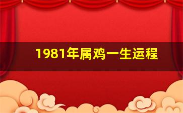 1981年属鸡一生运程