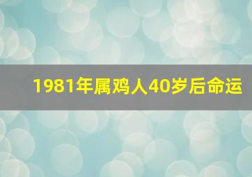 1981年属鸡人40岁后命运