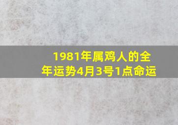 1981年属鸡人的全年运势4月3号1点命运