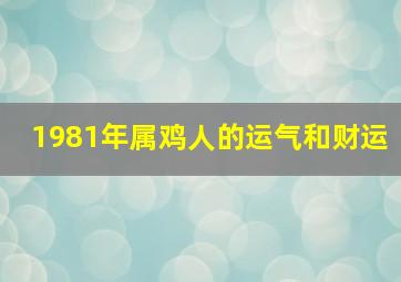 1981年属鸡人的运气和财运