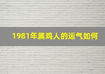 1981年属鸡人的运气如何