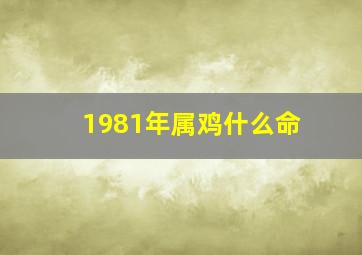 1981年属鸡什么命