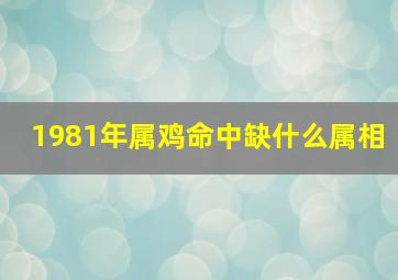 1981年属鸡命中缺什么属相