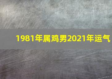 1981年属鸡男2021年运气