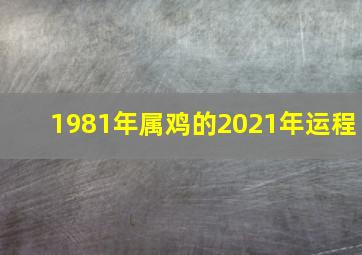 1981年属鸡的2021年运程