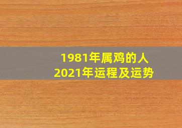 1981年属鸡的人2021年运程及运势