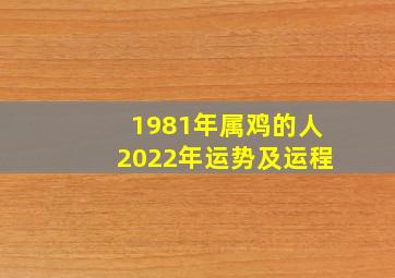 1981年属鸡的人2022年运势及运程