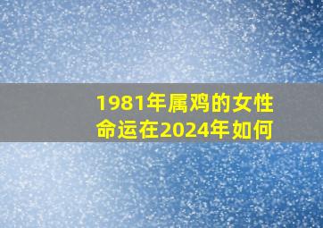 1981年属鸡的女性命运在2024年如何