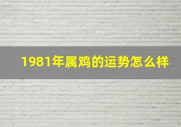 1981年属鸡的运势怎么样