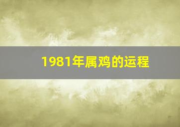 1981年属鸡的运程