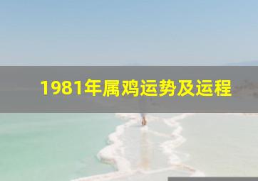 1981年属鸡运势及运程