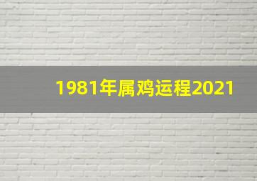 1981年属鸡运程2021