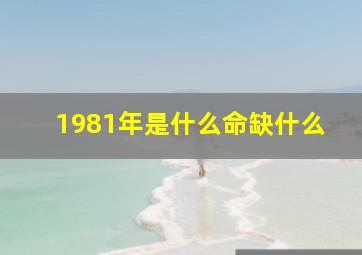 1981年是什么命缺什么