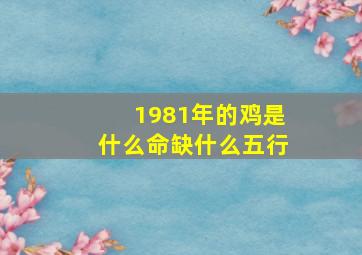 1981年的鸡是什么命缺什么五行