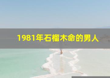 1981年石榴木命的男人