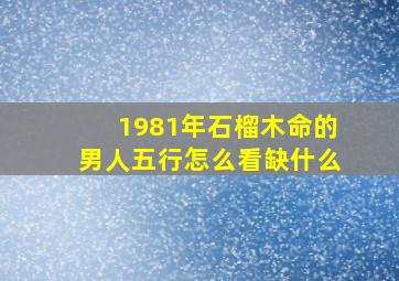 1981年石榴木命的男人五行怎么看缺什么