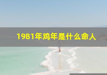 1981年鸡年是什么命人