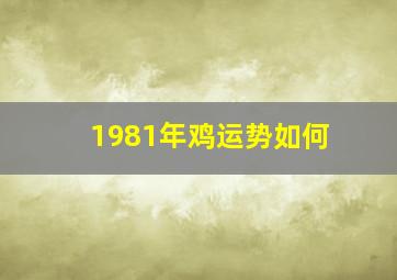 1981年鸡运势如何