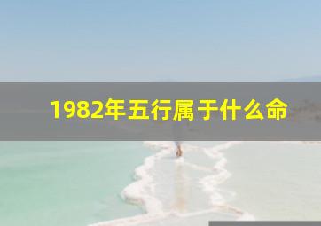 1982年五行属于什么命